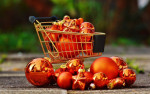 SDRU�EN� OBRANY SPOT�EBITEL� MORAVY A SLEZSKA, z.s. RAD� –
